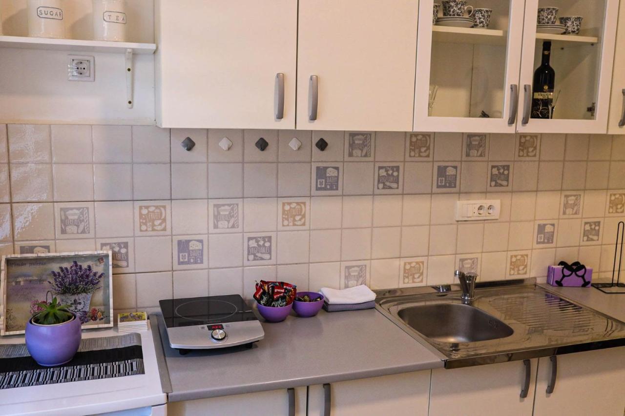 Modesty Zlatar Apartment Nova Varoš Екстериор снимка